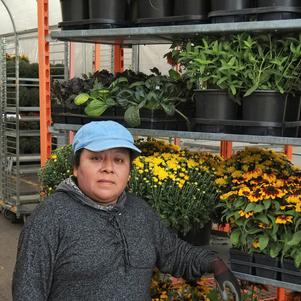 Minerva Jimenez